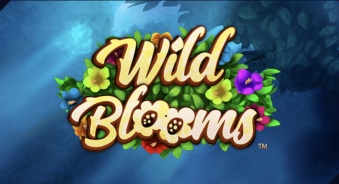 Wild Blooms, Synot, Casino, Game